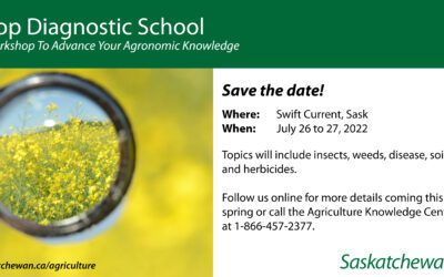 Crop Diagnostic School 2022