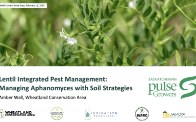 Winter Pulse Days, February 11, 2025, Lentil Integrated Pest Management